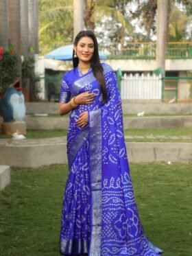 Saree Kanjivaram Border Bandhej Saree