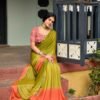 Saree-Velvet Chifon With Sequence Blouse