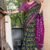 SAREE- PURE COTTON JAIPUR BLOCK PRINT SAREES WITH UNSTITCHED BLOUSE PICE-COLOUR-GREEN AND PINK