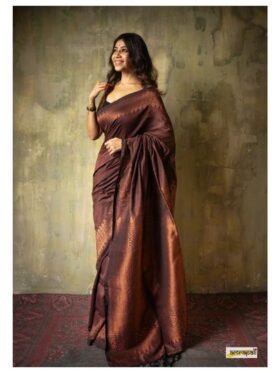 SAREE-Banarasi Soft Silk Saree-Colour-Brown