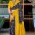 SAREE- PURE COTTON FANCY IKAAT PRINT SAREES WITH BLOUSE PICE Colour- mustard