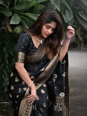 SAREE- BEAUTIFUL RICH PALLU & JACQUARD PATTERN WORK ON ALL OVER THE SAREE. COLOUR-BLACK