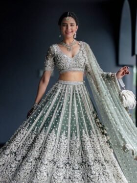 Lehenga Choli- Net lehnga with Dori & sequence work Lehenga Choli