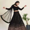 Lehenga Choli- Velvet lehnga with heavy sequence work Lehenga With Net Fabrics And sequence border work Dupatta