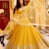 Lehenga Choli- Georget lehnga with paper mirror work Lehenga With Net Duppata with paper mirror work