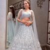 Lehenga Choli- Net lehenga with sequins & thread work Lehenga