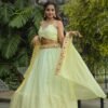Lehenga Choli- Georgette lehenga with thread , Dori & sequins work on waist border Lehenga Choli