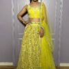 Lehenga Choli- Georgette lehenga with zari & foil paper work + net ruffle border With Net Duppata with border work