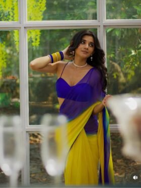 Saree-Georgette Saree